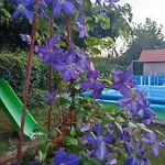Roxana