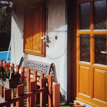 Roxana Vendeghaz Daire *