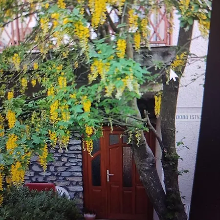 Roxana Vendeghaz Apartamento