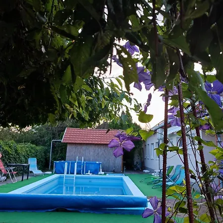 Roxana Vendeghaz Daire *