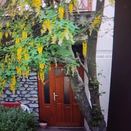 Apartment Roxana Vendeghaz *