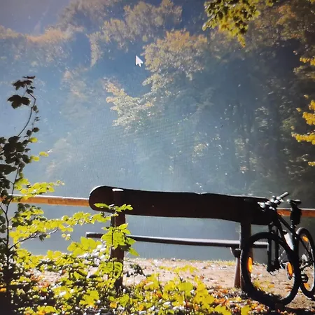 Daire Roxana Vendeghaz