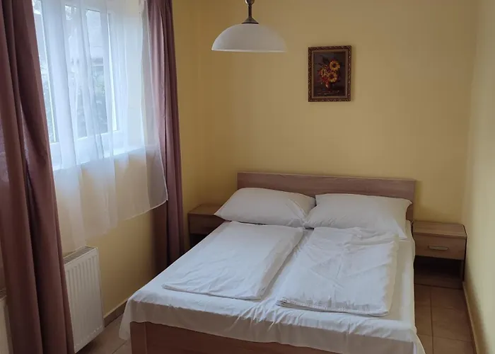 Roxana Vendeghaz Szilvásvárad